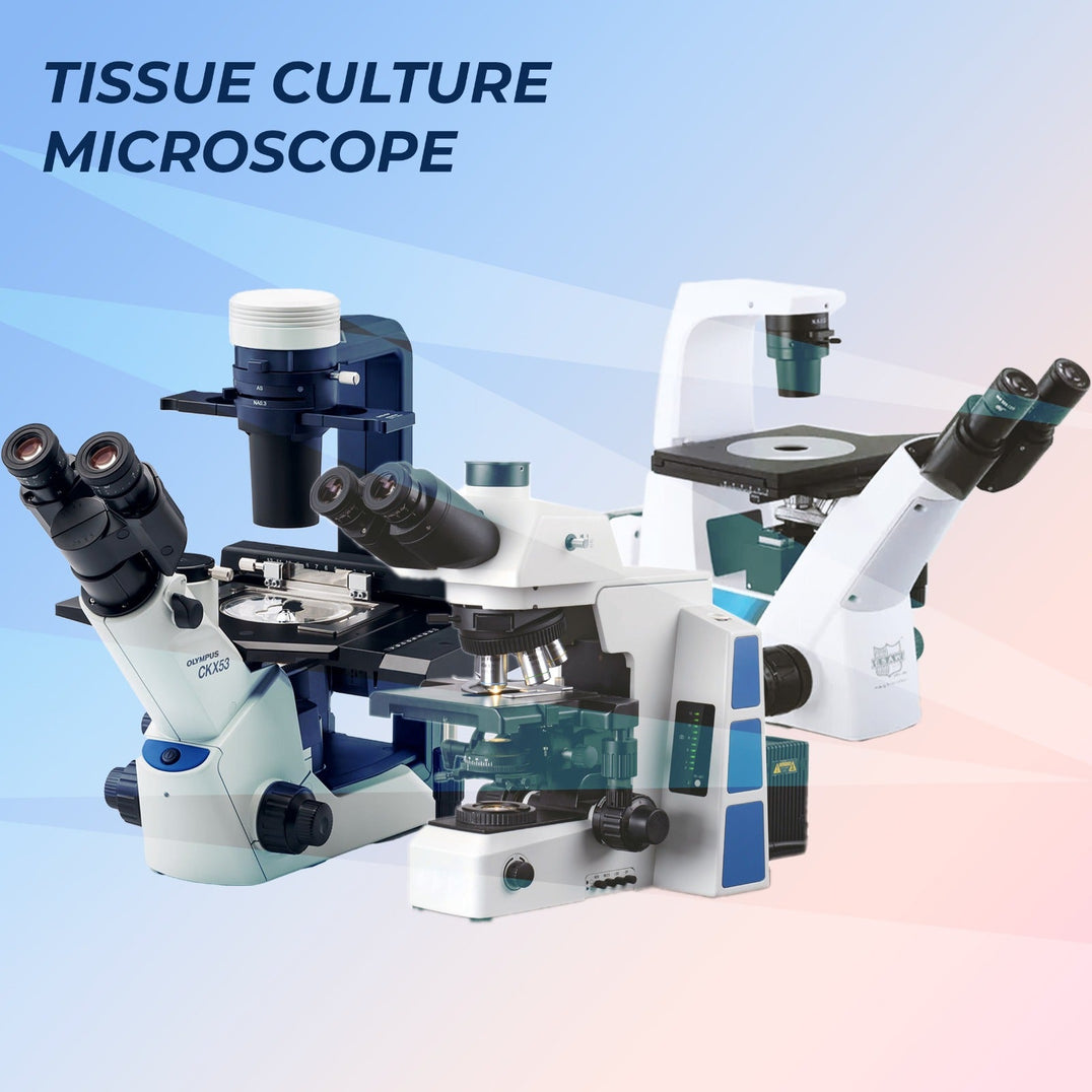 Tissue Culture Microscopes – Precision Imaging for Cell Culture, Plant Biotechnology & Life Science Research
