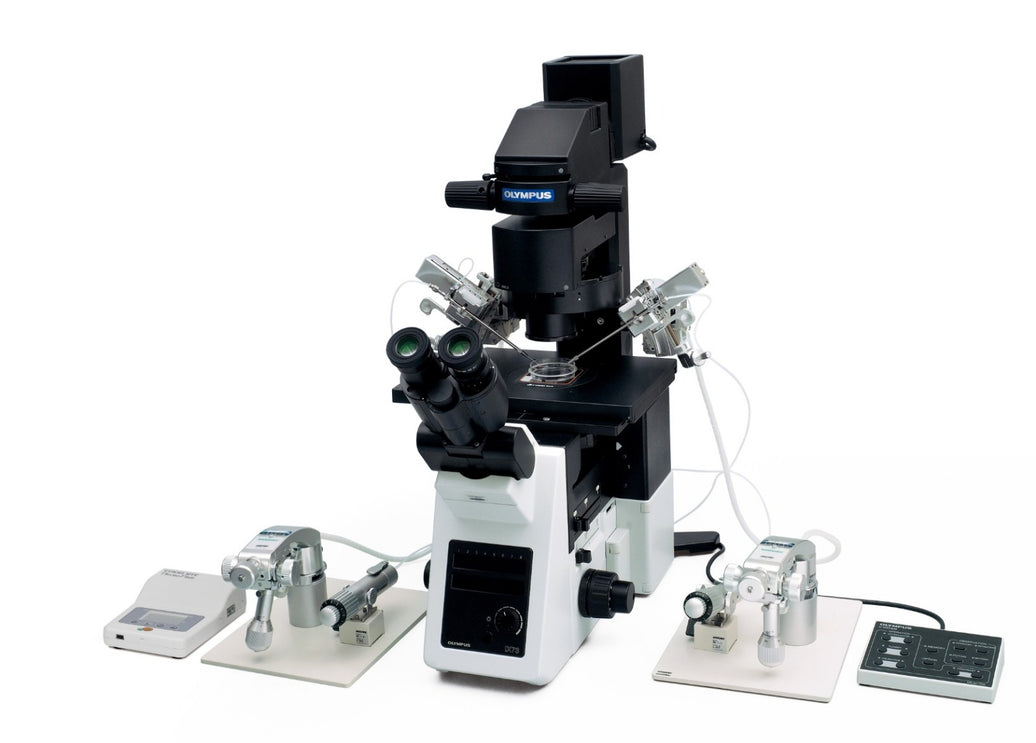 Image ALT Tags
“EVIDENT IX3 inverted microscope live-cell imaging India”
“IX3 inverted microscope for research lab buy online India”
“Affordable EVIDENT IX3 microscope for students and colleges India”
“EVIDENT IX3 inverted microscope industrial R&D lab export”