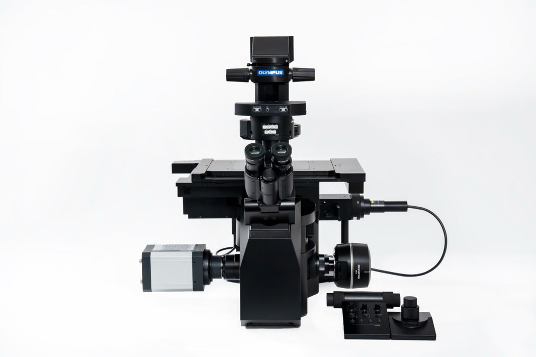 Image ALT Tags:
“EVIDENT IXplore IX85 inverted microscope live cell imaging India”
“IX85 inverted microscope research lab buy online India lowest price”
“IX85 inverted microscope university biology teaching microscope India”
“IX85 inverted microscope industrial R&D high-content screening India”