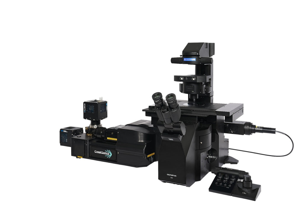 Image ALT Tags (SEO Optimized):
“EVIDENT IXplore IX85 Spin XL Inverted Microscope for Live Cell Imaging India”
“IX85 Spin XL Confocal Microscope Buy Online India Lowest Price”
“EVIDENT IX85 Spin XL Research Microscope for Life Science Labs India”
“Advanced Confocal Inverted Microscope for Biomedical Research India”