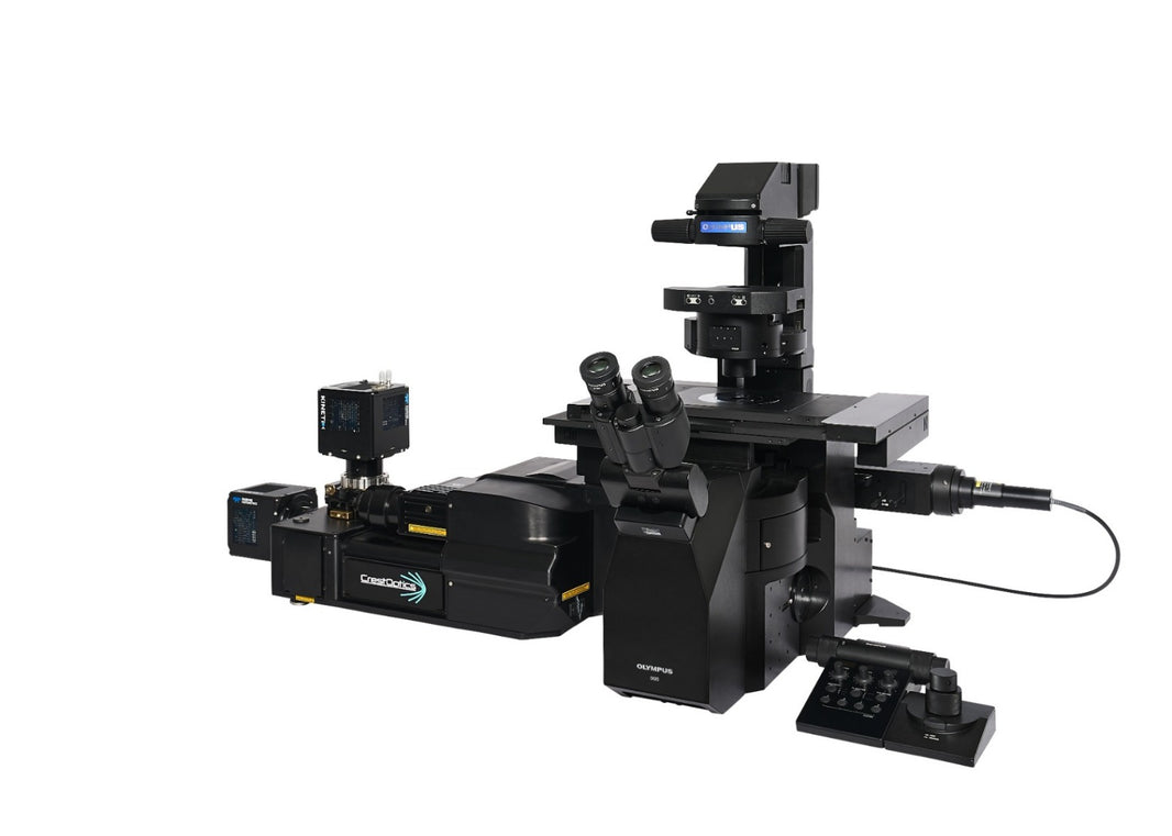 Image ALT Tags (SEO Optimized):
“EVIDENT IXplore IX85 Spin XL Inverted Microscope for Live Cell Imaging India”
“IX85 Spin XL Confocal Microscope Buy Online India Lowest Price”
“EVIDENT IX85 Spin XL Research Microscope for Life Science Labs India”
“Advanced Confocal Inverted Microscope for Biomedical Research India”