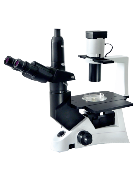 Image ALT Tags (examples):
“Magnus INVI inverted microscope for cell culture labs”
“Trinocular inverted microscope for medical student training”
“Affordable INVI microscope for biology classrooms India”
“Export-quality inverted microscope from India for research”