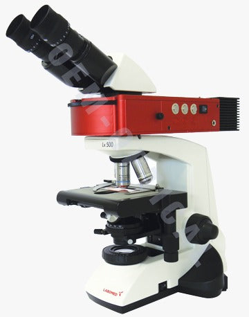 Image ALT Tags (examples):

"Labomed LX500 fluorescence microscope for cell biology labs"

"LED fluorescence microscope for pathology and engineering students"

"Affordable fluorescence microscope for research centres India"

"Export‑quality fluorescence microscope from India for universities"