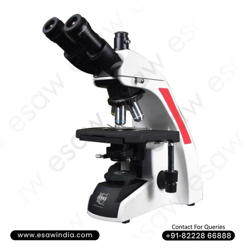 🖼️ Image ALT Tags

“LED Trinocular Fluorescence Microscope for Research Labs”

“Advanced Epi Fluorescence Microscope for Molecular Biology”

“Ultimate Fluorescence Microscope India Export Model”

“Microscope with Filter Cubes for Pathology and Cytogenetics”