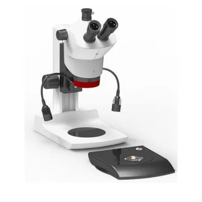 Image ALT Tags

“Labomed Luxeo 6Z stereo zoom microscope student laboratory India”

“Labomed Luxeo 6Z stereo microscope dual LED ring-light India”

“Affordable Labomed Luxeo 6Z stereo microscope buy online India”

“Labomed Luxeo 6Z stereo microscope industrial inspection research centre India”
