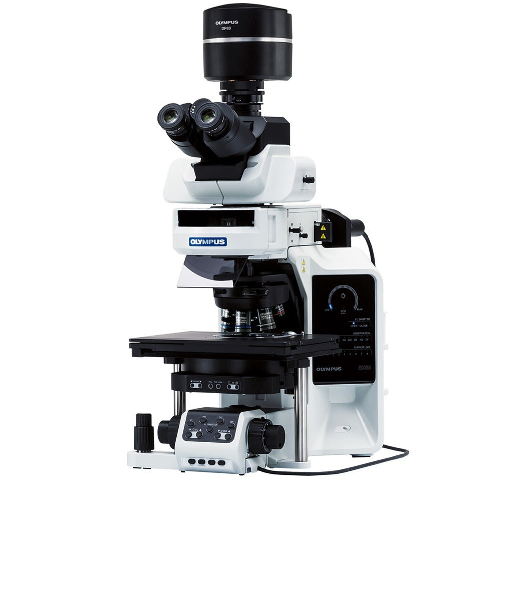 Image ALT Tags:

“EVIDENT BX63 upright automated research microscope India”

“Automated fluorescence microscope BX63 India life science lab”

“BX63 motorised upright microscope buy online India lowest price”

“BX63 microscope industrial research centre India export”