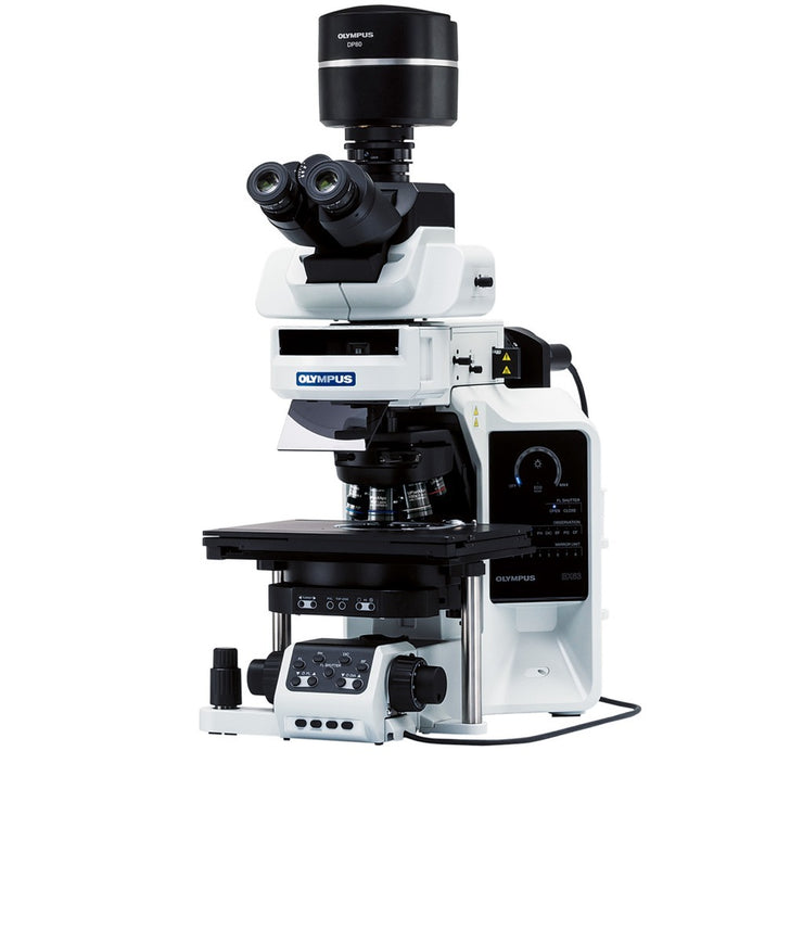Image ALT Tags:

“EVIDENT BX63 upright automated research microscope India”

“Automated fluorescence microscope BX63 India life science lab”

“BX63 motorised upright microscope buy online India lowest price”

“BX63 microscope industrial research centre India export”