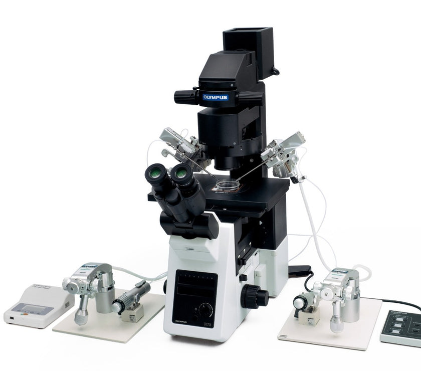 Image ALT Tags

“EVIDENT IX3 inverted microscope live-cell imaging India”

“IX3 inverted microscope for research lab buy online India”

“Affordable EVIDENT IX3 microscope for students and colleges India”

“EVIDENT IX3 inverted microscope industrial R&amp;D lab export”