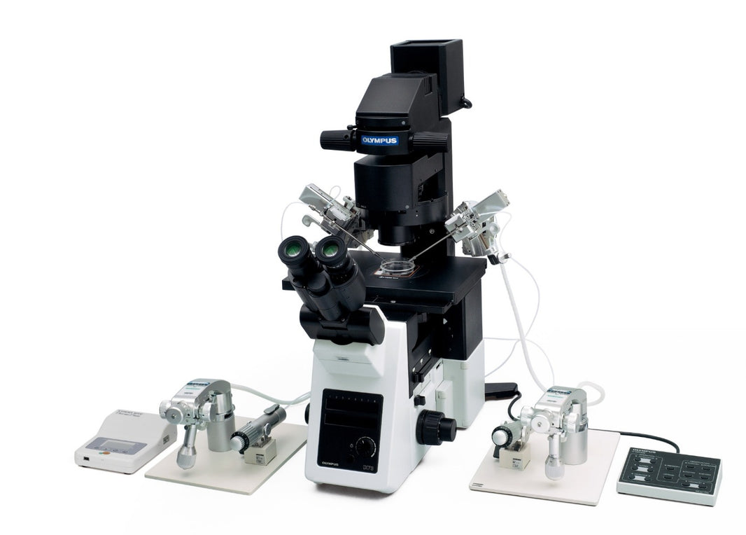 Image ALT Tags

“EVIDENT IX3 inverted microscope live-cell imaging India”

“IX3 inverted microscope for research lab buy online India”

“Affordable EVIDENT IX3 microscope for students and colleges India”

“EVIDENT IX3 inverted microscope industrial R&amp;D lab export”