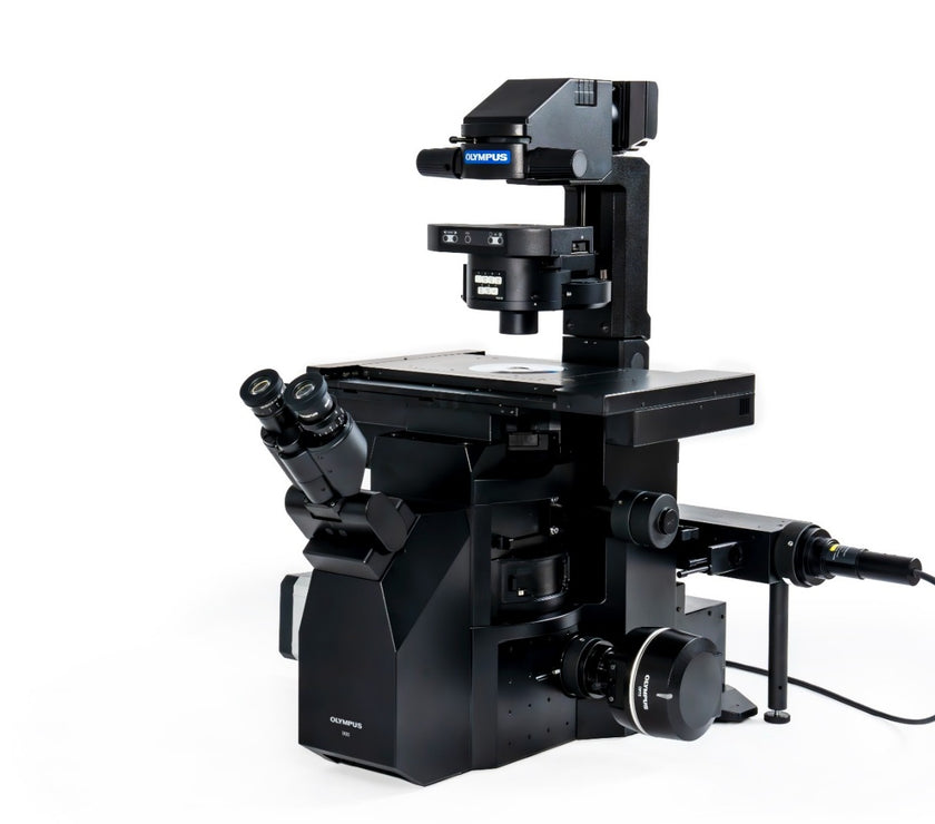 Image ALT Tags (SEO-Optimized):

“EVIDENT IXplore IX85 Live Inverted Microscope for Live-Cell Imaging India”

“IX85 Live Cell Research Microscope Buy Online India Lowest Price”

“EVIDENT IX85 Live Microscope for Medical and Research Labs India”

“Advanced Inverted Fluorescence Microscope for Life Sciences India”