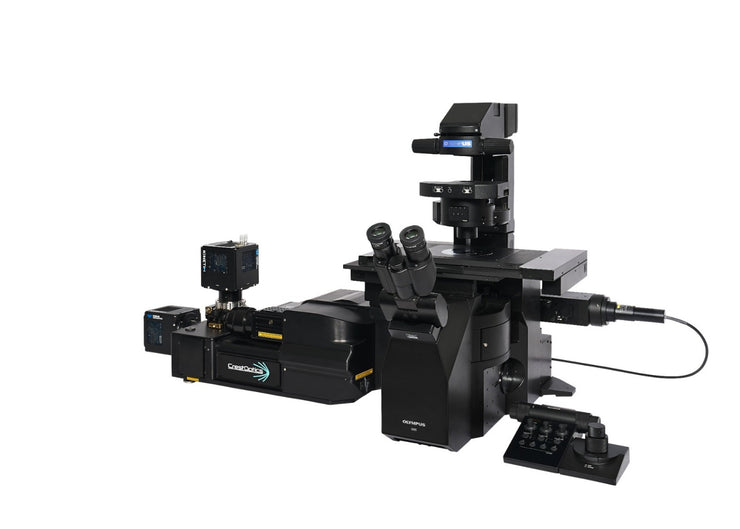 Image ALT Tags (SEO Optimized):

“EVIDENT IXplore IX85 Spin XL Inverted Microscope for Live Cell Imaging India”

“IX85 Spin XL Confocal Microscope Buy Online India Lowest Price”

“EVIDENT IX85 Spin XL Research Microscope for Life Science Labs India”

“Advanced Confocal Inverted Microscope for Biomedical Research India”