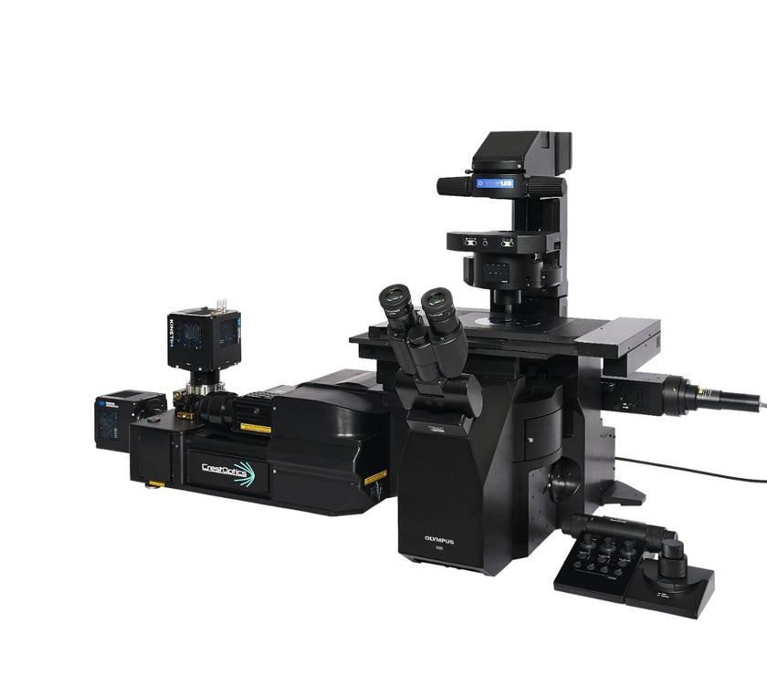 Image ALT Tags (SEO Optimized):

“EVIDENT IXplore IX85 Spin XL Inverted Microscope for Live Cell Imaging India”

“IX85 Spin XL Confocal Microscope Buy Online India Lowest Price”

“EVIDENT IX85 Spin XL Research Microscope for Life Science Labs India”

“Advanced Confocal Inverted Microscope for Biomedical Research India”