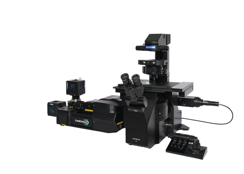 Image ALT Tags (SEO Optimized):

“EVIDENT IXplore IX85 Spin XL Inverted Microscope for Live Cell Imaging India”

“IX85 Spin XL Confocal Microscope Buy Online India Lowest Price”

“EVIDENT IX85 Spin XL Research Microscope for Life Science Labs India”

“Advanced Confocal Inverted Microscope for Biomedical Research India”