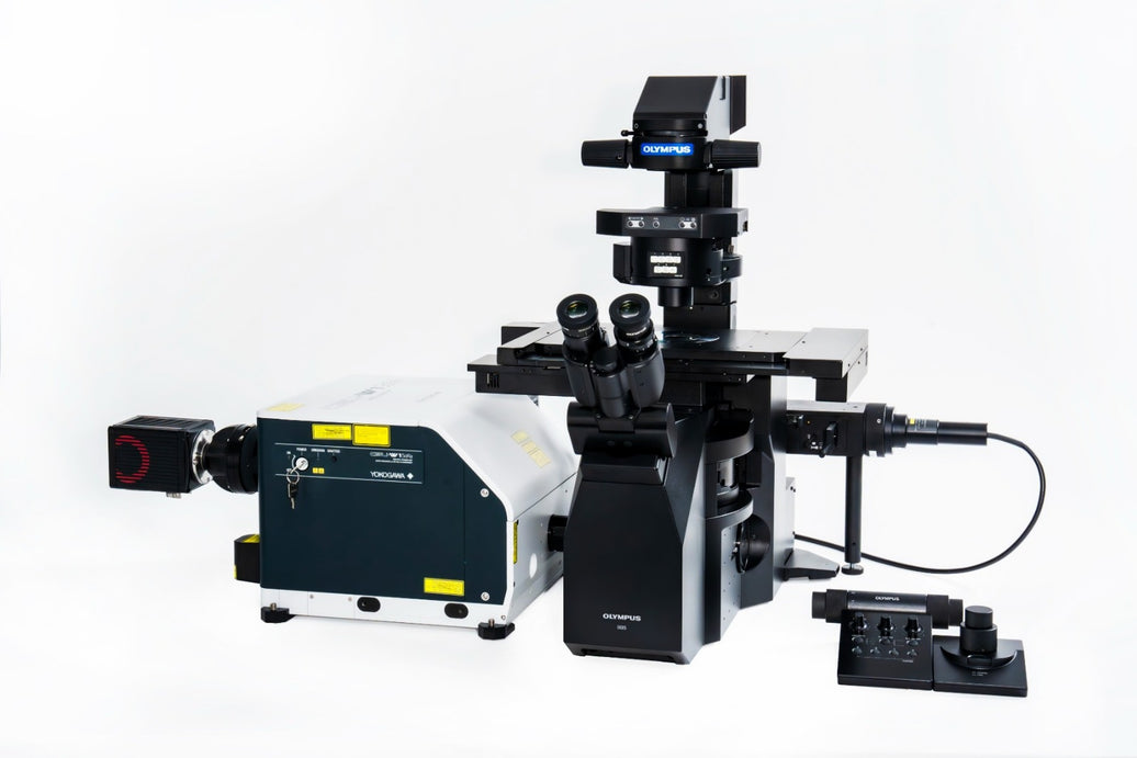 Image ALT Tags:

“EVIDENT IXplore IX85-Spin inverted microscope live-cell imaging India”

“IX85-Spin confocal microscope buy online India lowest price”

“EVIDENT IX85-Spin microscope university research lab India”

“IX85-Spin microscope industrial R&amp;D live cell India”
