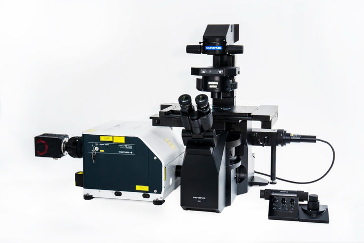 🖼️ Image ALT Tags

alt="IXplore IX85 Spin SR Inverted Microscope for Live-Cell Imaging"

alt="Advanced Research Microscope for Biology Labs"

alt="Super-Resolution Microscope for Industrial Research"

alt="High-Speed Spinning Disk Confocal Microscope for Universities"
