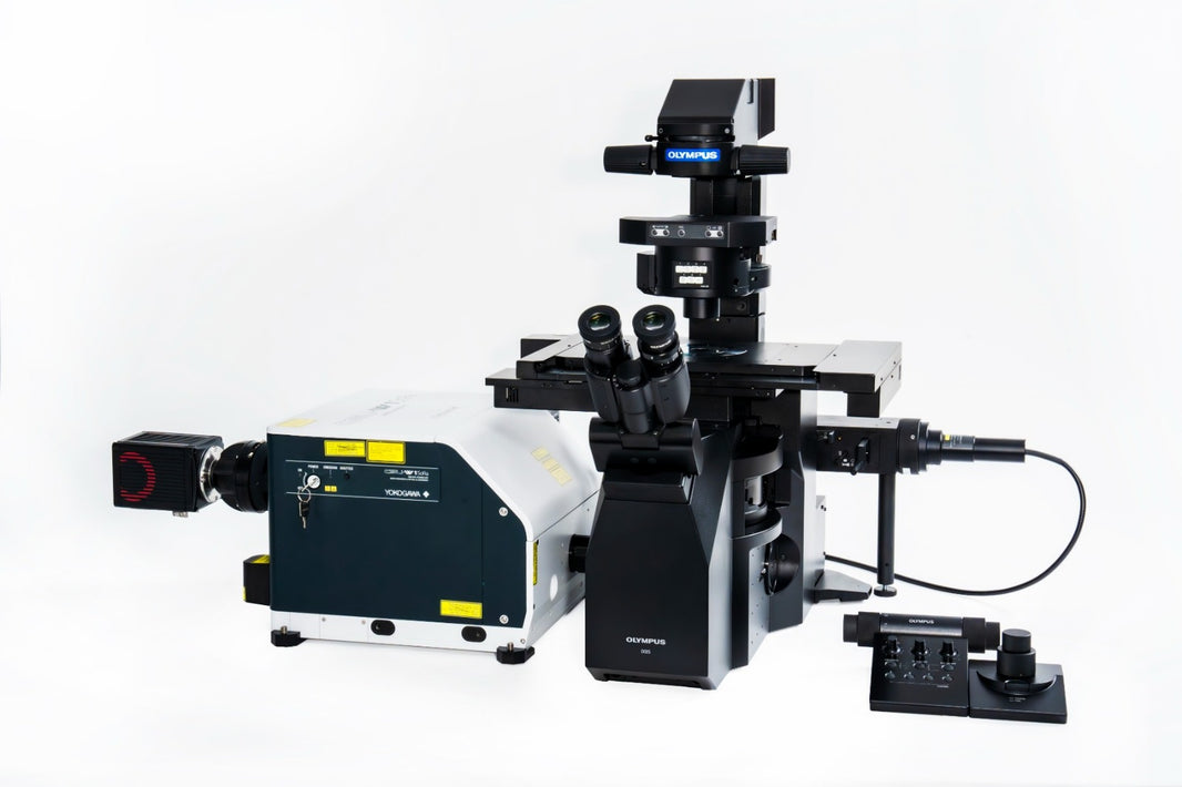 🖼️ Image ALT Tags

alt="IXplore IX85 Spin SR Inverted Microscope for Live-Cell Imaging"

alt="Advanced Research Microscope for Biology Labs"

alt="Super-Resolution Microscope for Industrial Research"

alt="High-Speed Spinning Disk Confocal Microscope for Universities"