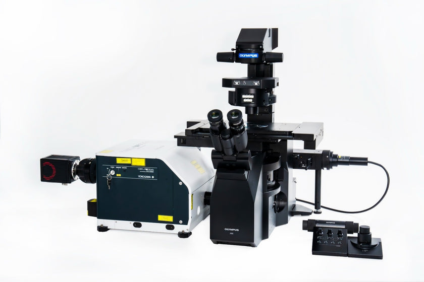 🖼️ Image ALT Tags

alt="IXplore IX85 Spin SR Inverted Microscope for Live-Cell Imaging"

alt="Advanced Research Microscope for Biology Labs"

alt="Super-Resolution Microscope for Industrial Research"

alt="High-Speed Spinning Disk Confocal Microscope for Universities"