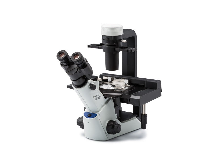 🖼️ Image ALT Tags (SEO):

"Evident CKX53 Inverted Microscope for Cell Culture Observation"

"Inverted Microscope for Laboratory and Research Use"

"Educational Inverted Microscope for Colleges and Universities"

"Advanced LED Inverted Microscope for Life Sciences Labs"