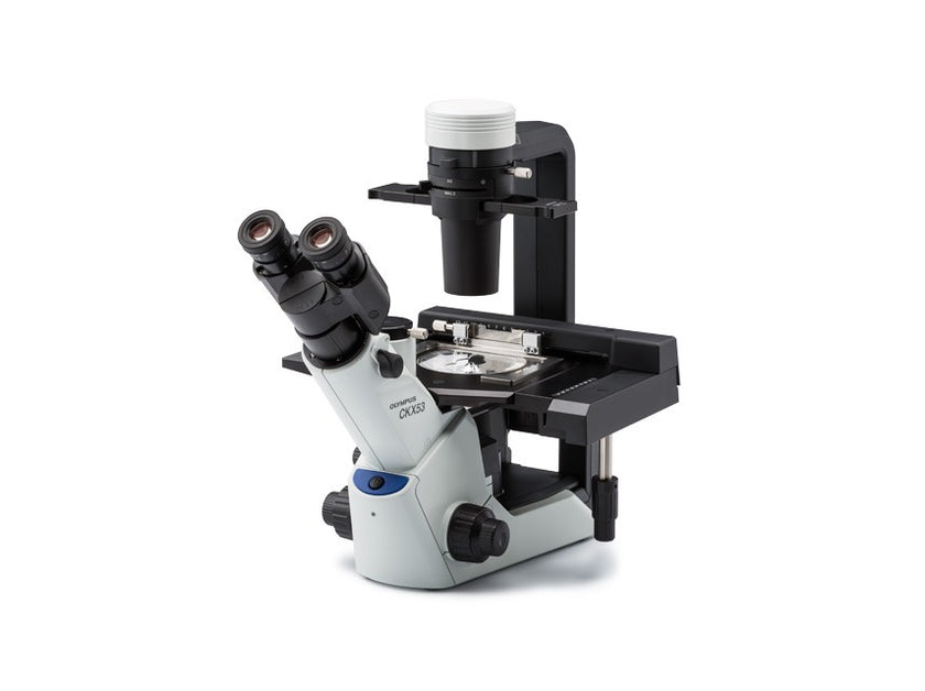 🖼️ Image ALT Tags (SEO):

"Evident CKX53 Inverted Microscope for Cell Culture Observation"

"Inverted Microscope for Laboratory and Research Use"

"Educational Inverted Microscope for Colleges and Universities"

"Advanced LED Inverted Microscope for Life Sciences Labs"