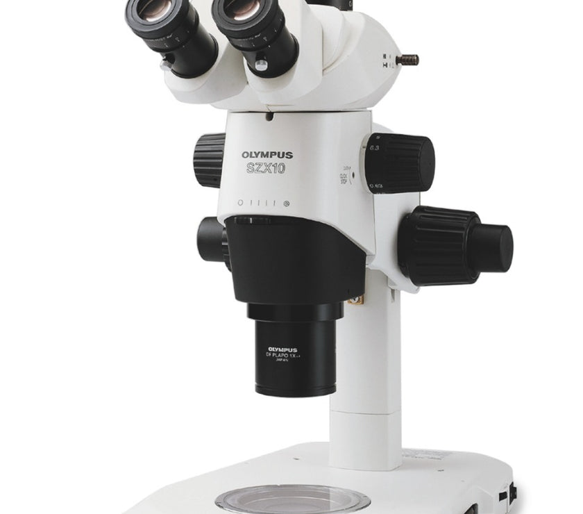 Image ALT Tags (SEO-Optimized):

“SZX10 Stereo Zoom Microscope for Research Labs India”

“Buy SZX10 Microscope Online for Schools and Colleges”

“Affordable Stereo Zoom Microscope SZX10 for Industrial Labs”

“SZX10 Stereo Microscope with Wide Field Optics for Students”