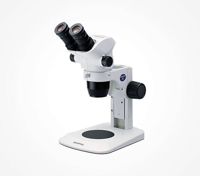 Image ALT Tags:

“Olympus SZ61 Stereo Zoom Microscope for Laboratory Use India”

“Buy Olympus SZ51 Microscope Online India Lowest Price”

“SZ61 Stereo Microscope for Schools and Colleges”

“Olympus Stereo Zoom Microscope for Industrial Inspection Labs India”