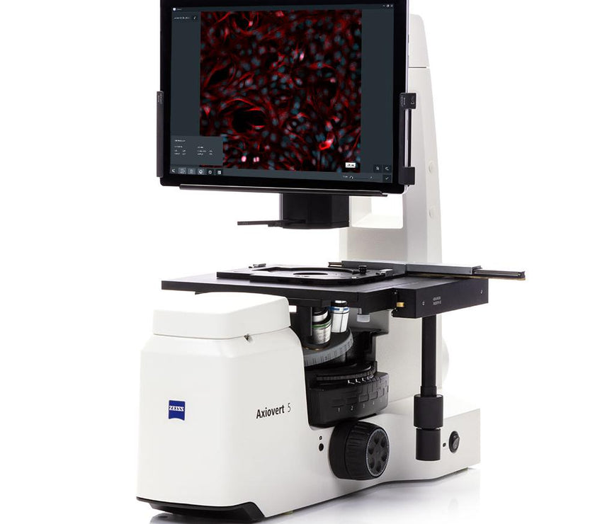 Buy ZEISS Axiovert 5 Digital Microscope – Smart Inverted Live‑Cell Imaging