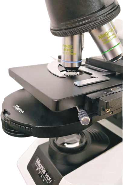 🖼️ ALT Tags for Product Images

“MLXi Phase Contrast Microscope for Medical Labs”

“Advanced Educational Microscope for Cell Study”

“Phase Contrast Microscope for Live Cell Observation India”

“Best Phase Microscope for Nursing and Research Colleges”