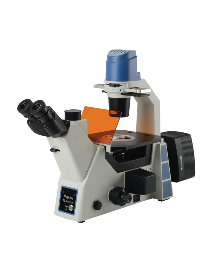 Buy FL Inverse Microscope – Fluorescence & Inverted Microscopy for Advanced Research