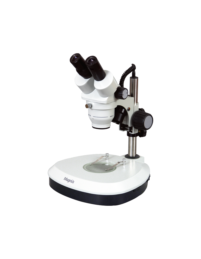 Image ALT Tags (examples):

“Magnus MS24 stereo microscope for biology classroom use”

“Affordable MS24 microscope for electronics lab inspection”

“Educational stereo microscope for students India”

“Export‑quality Magnus MS24 microscope for industrial QC labs”