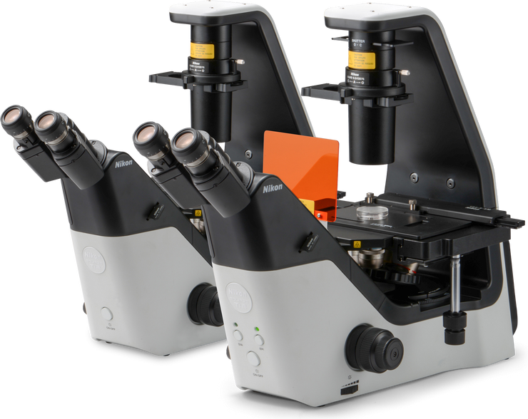 Image ALT Tags:

“Nikon Eclipse Ts2 inverted microscope for live cell culture labs”

“LED Eclipse Ts2 microscope for phase contrast imaging in classrooms”

“Export-quality Eclipse Ts2 microscope from India for research centres”

“Emboss Contrast inverted microscope for thick sample observation”
